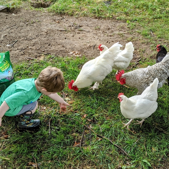 Meet your Posh Ambassador, Margaret - Picture 3 of 8